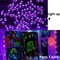 Black Light String Lights Blacklight 100 LEDs 33 Feet Black Lights for Glow Party, (Purple)